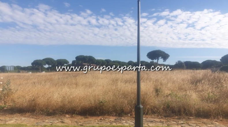 Sevilla - Bollullos de la Mitación - 770m2