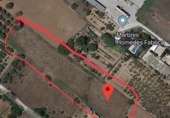 Non-developable land for sale on T-331, Ulldecona, ref: TR37543 photo