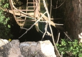 Non-developable land for sale on Camí de les Foies, Ulldecona, ref: TR37542 photo