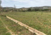Non-developable land for sale on Camí de les Foies, Ulldecona, ref: TR37542 photo
