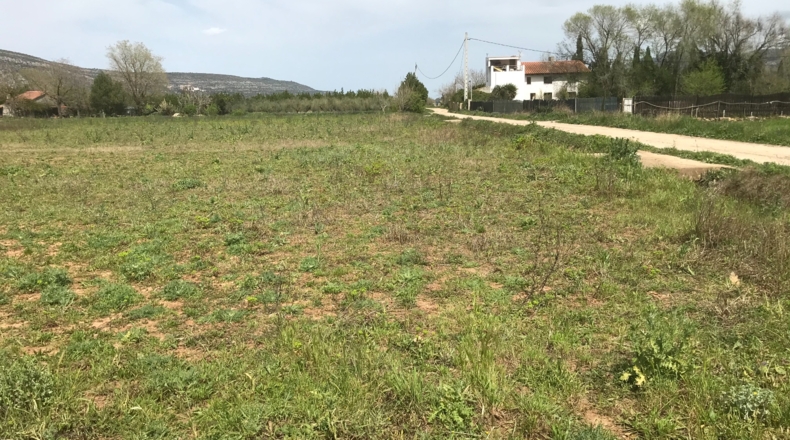 Tarragona - Ulldecona - 2331m2