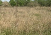 Non-developable land for sale on T-331, Ulldecona, ref: TR37543 photo