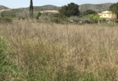 Non-developable land for sale on T-331, Ulldecona, ref: TR37543 photo