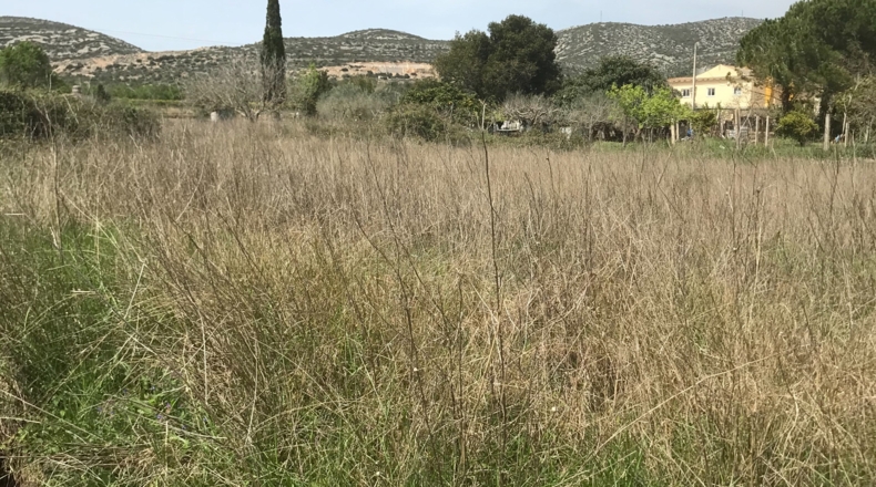 Tarragona - Ulldecona - 3687m2