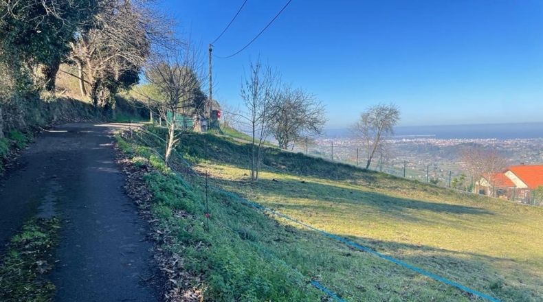 Asturias - La Cuadra - 3639m2