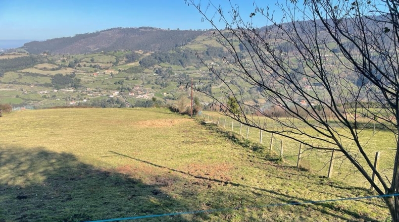 Asturias - La Cuadra - 3639m2