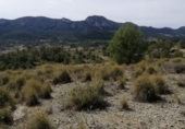 Parcel·la urbanitzable en venda a la Calle Fuente, la Romana, ref.: TR39823 foto