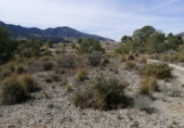 Parcel·la urbanitzable en venda a la Calle Fuente, la Romana, ref.: TR39823 foto
