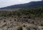 Parcel·la urbanitzable en venda a la Calle Fuente, la Romana, ref.: TR39823 foto