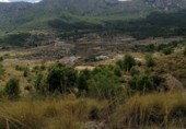 Parcel·la urbanitzable en venda a la Calle Fuente, la Romana, ref.: TR39823 foto