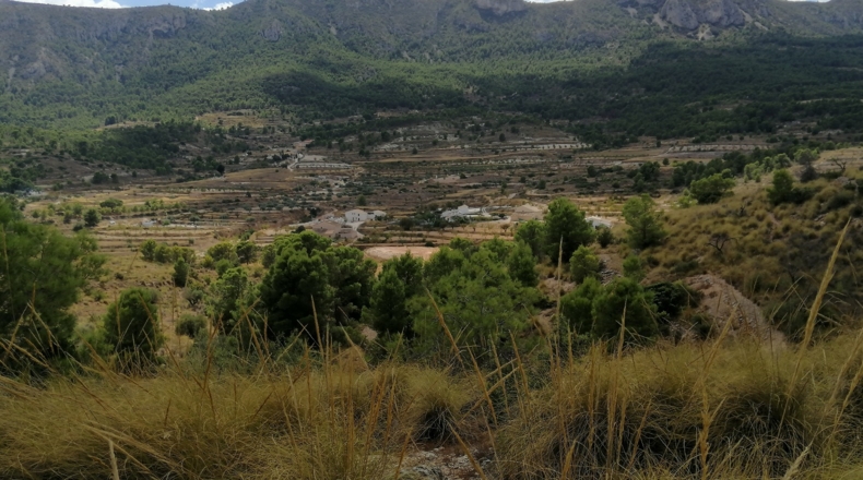 Alicante - la Romana - 33000m2