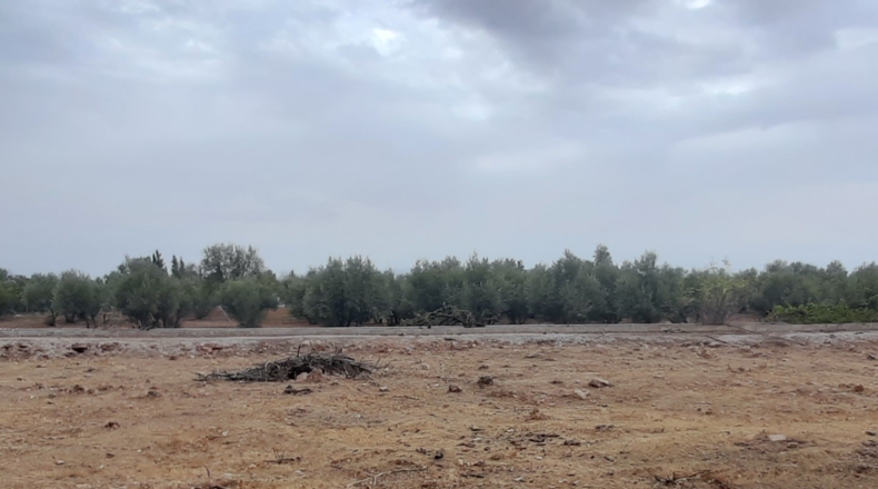 Granada - Baúl - 1260m2