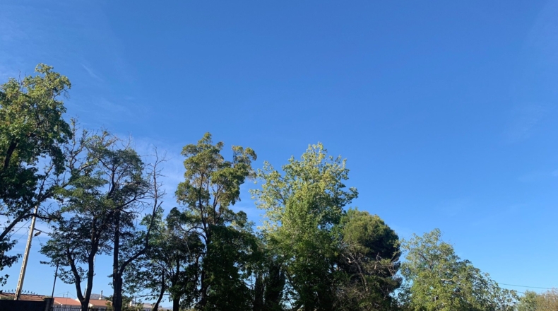 Granada - Baúl - 1260m2