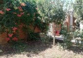 Casa de camp amb terreny en venda a la calle Arriba, Vega de Infanzones, ref.: TR39975 foto