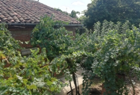 Foto 11