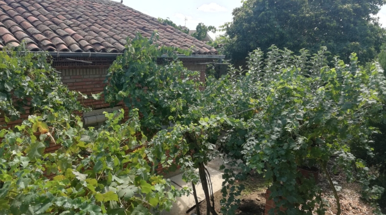León - Vega de Infanzones - 480m2