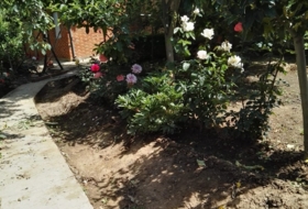 Foto 13