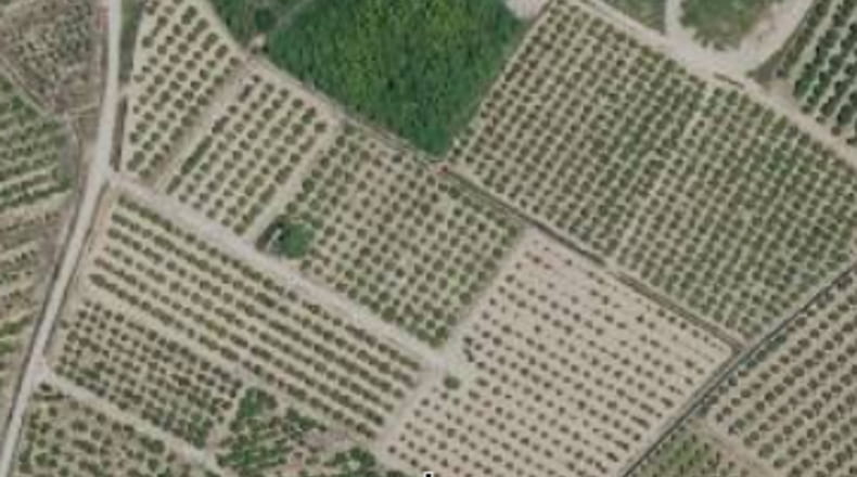 Valencia - Alberique - 56000m2