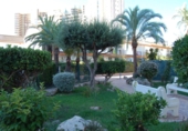 Chalet adosado con terreno en venta en la Avenida Juan Fuster Zaragoza, Benidorm, ref: TR40577 foto