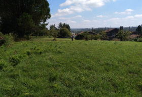 O Chamberín 6506&nbsp;м²