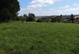 O Chamberín 6506&nbsp;м²