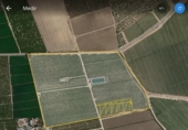 Parcel·la urbanitzable en venda a la Camí dels Bassals, Elx, ref.: TR41468 foto