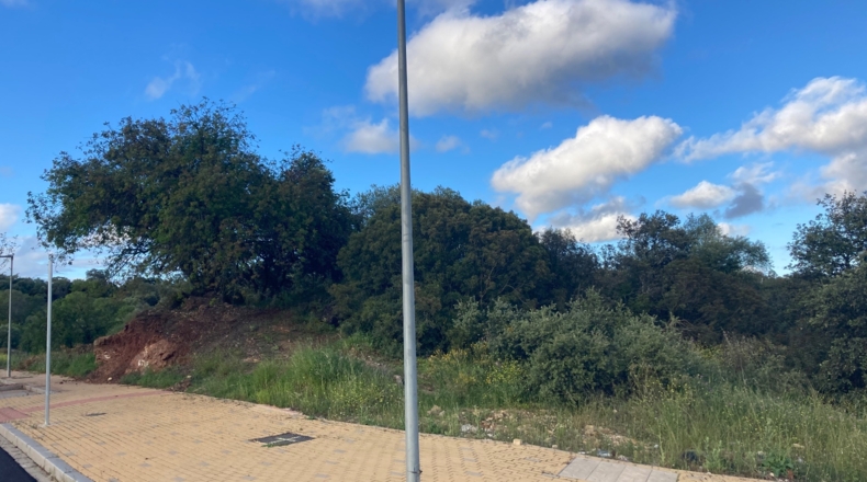 Córdoba - Córdoba - 1470m2