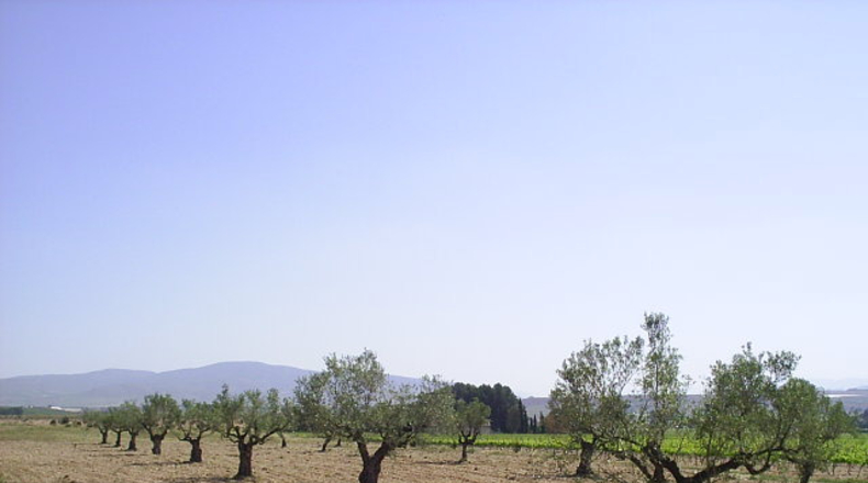 Alicante - Villena - 1500m2