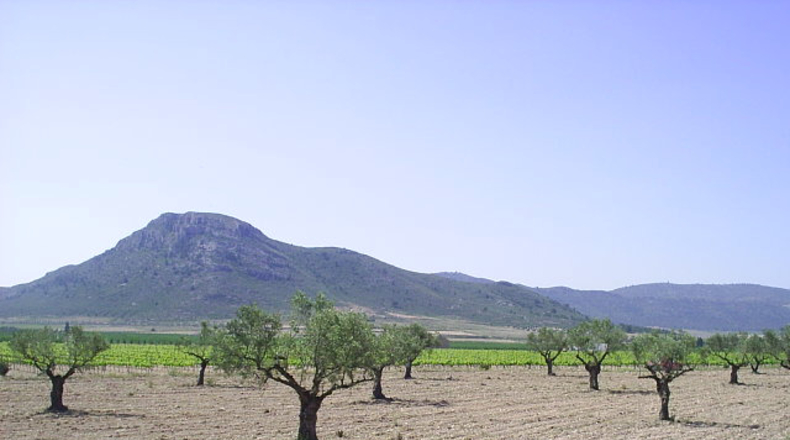 Alicante - Villena - 1500m2