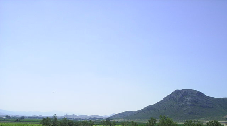 Alicante - Villena - 1500m2