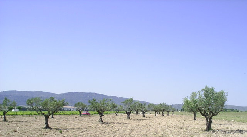 Alicante - Villena - 1500m2