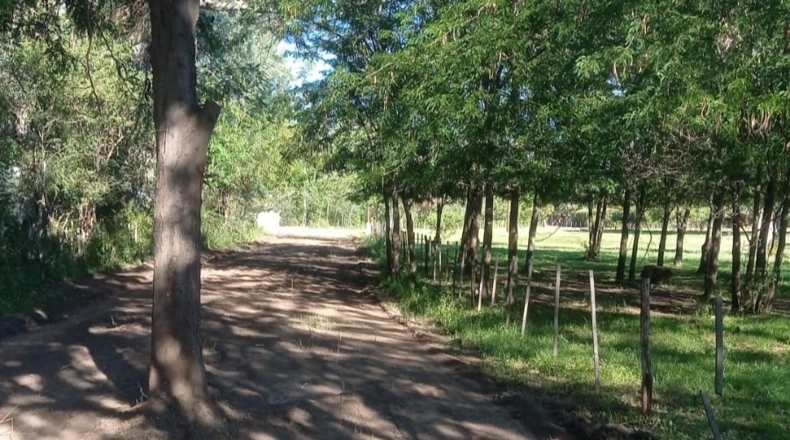 Córdoba - Córdoba - 13947m2