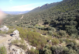 Mestanza 782200&nbsp;m² 