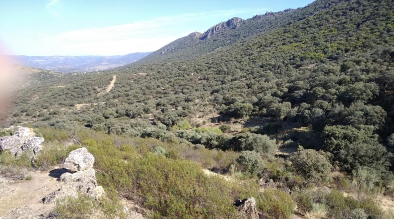 Ciudad Real - Mestanza - 782200m2