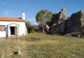 Terreny amb magatzem en venda a la Carretera de Mestanza, Mestanza, ref.: TR42206 foto