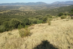 Mestanza 782200&nbsp;m² 