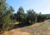 Finca rústica en venta en la genave, Arroyo del Ojanco, ref: TR42307 foto