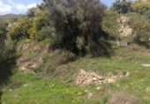 Terreno no urbanizable en venta en la Los Avises, Guájar Faragüit, ref: TR42305 foto