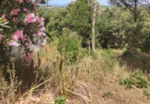 Sòl urbà en venda a la Calle Turó de l'home, Tordera, ref.: TR42308 foto