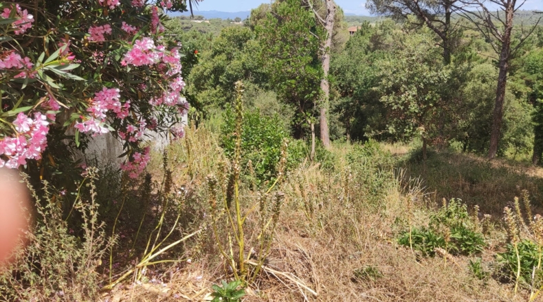 Barcelona - Tordera - 580m2