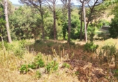 Sòl urbà en venda a la Calle Turó de l'home, Tordera, ref.: TR42308 foto