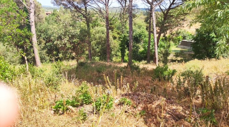 Barcelona - Tordera - 580m2