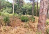 Sòl urbà en venda a la Calle Turó de l'home, Tordera, ref.: TR42308 foto