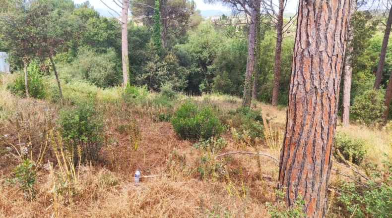 Barcelona - Tordera - 580m2