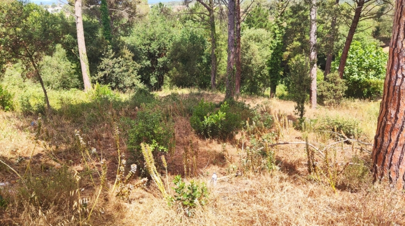 Barcelona - Tordera - 580m2