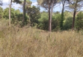 Sòl urbà en venda a la Calle Turó de l'home, Tordera, ref.: TR42308 foto