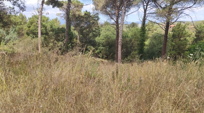 Barcelona - Tordera - 580m2