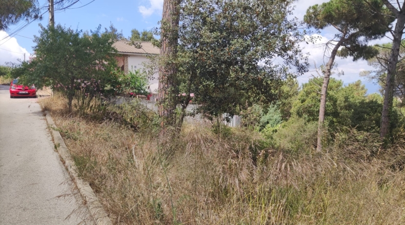 Barcelona - Tordera - 580m2