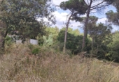 Sòl urbà en venda a la Calle Turó de l'home, Tordera, ref.: TR42308 foto
