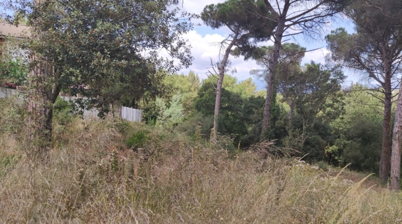 Barcelona - Tordera - 580m2